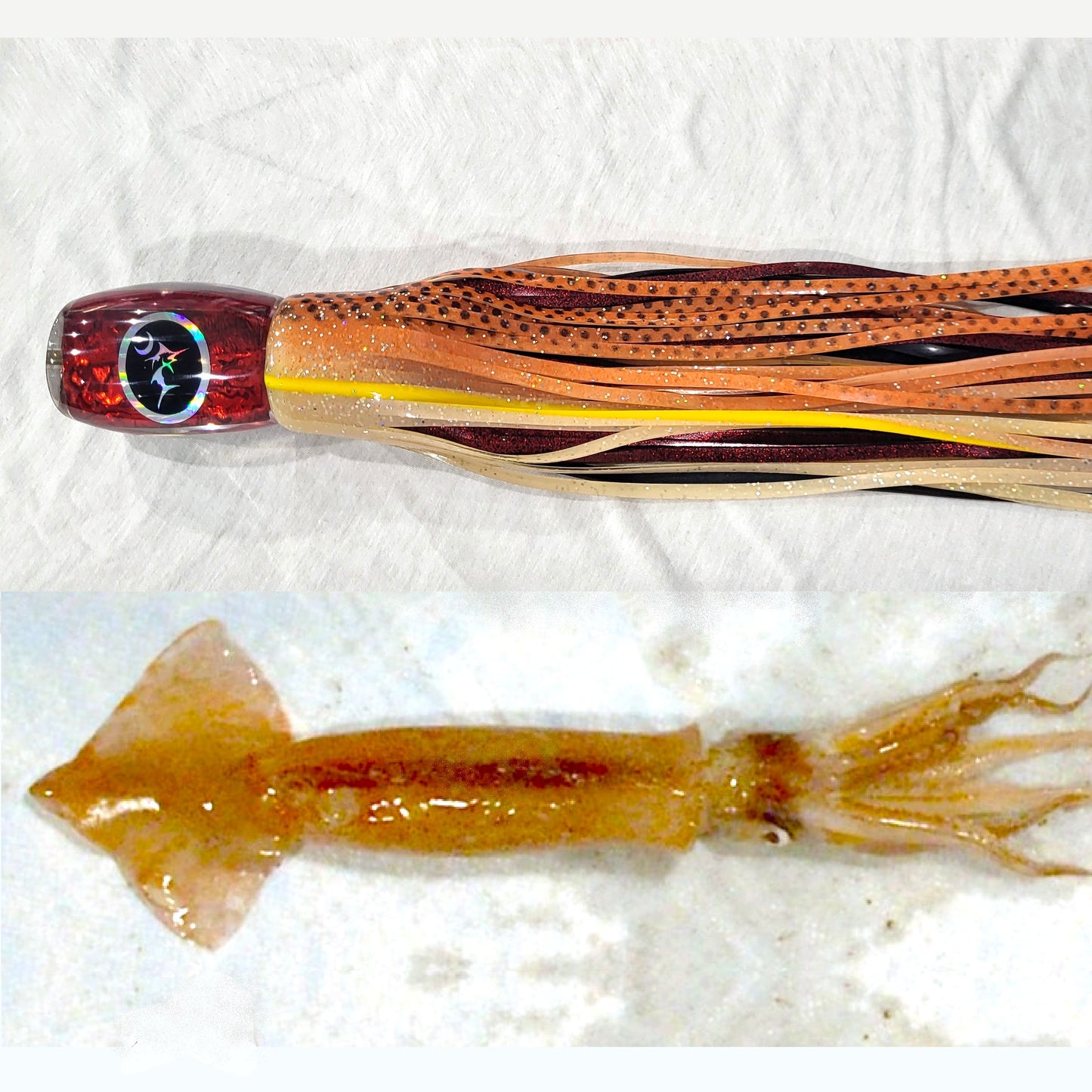 the Squid