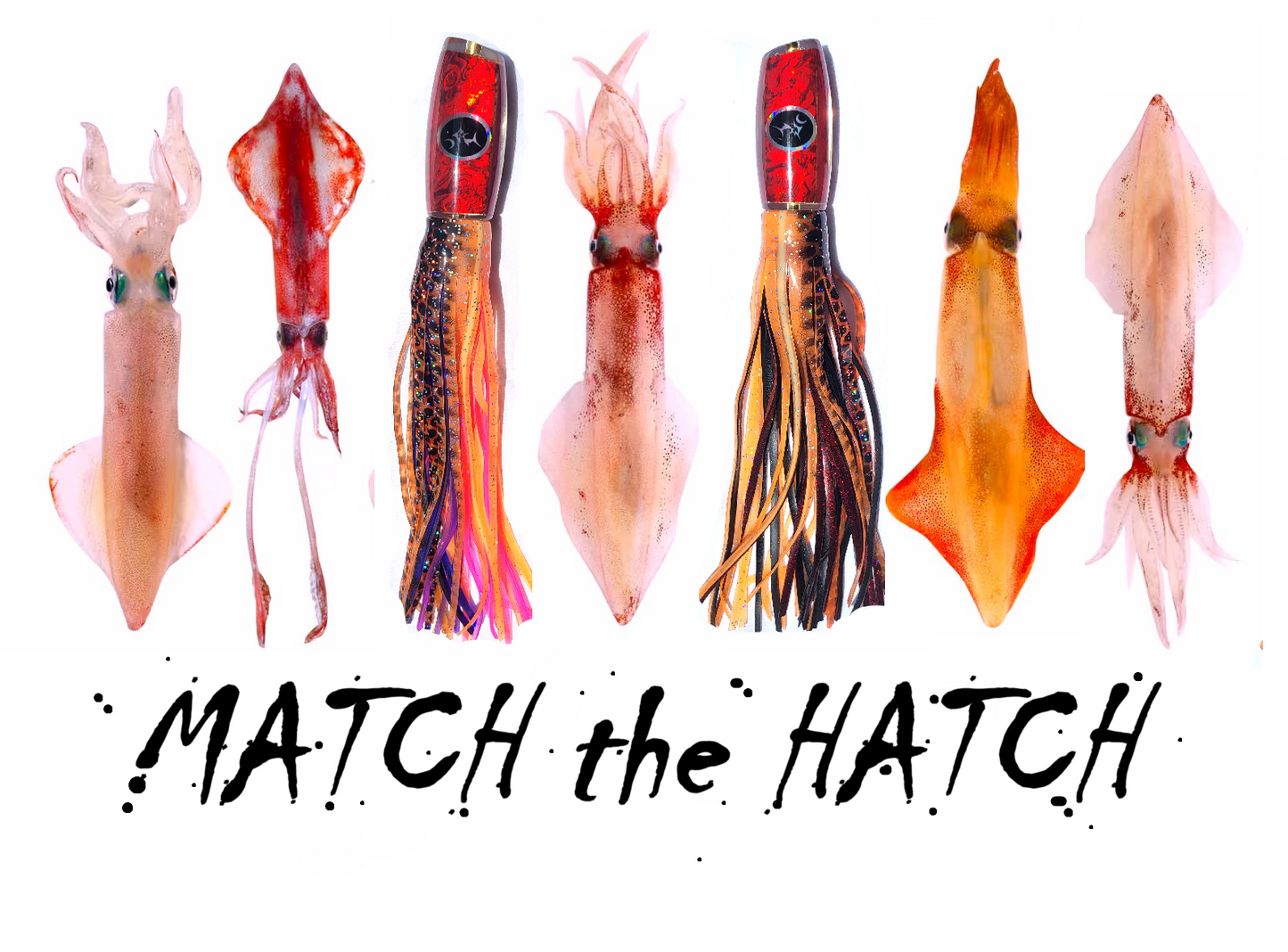 the Squid